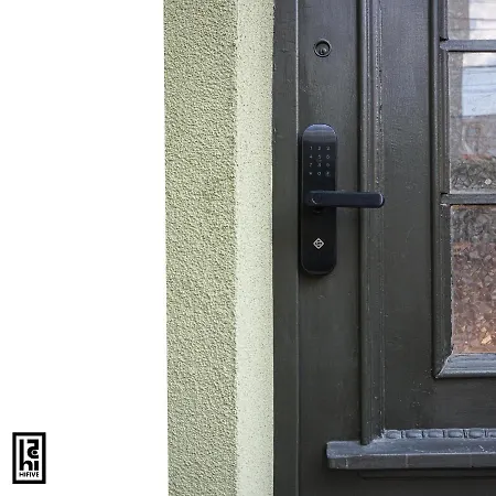 Hifive * Veliko Tarnovo